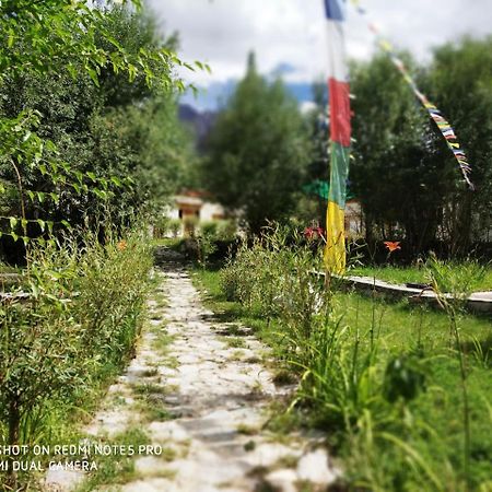 Lotus Eco Resort Hundar 外观 照片